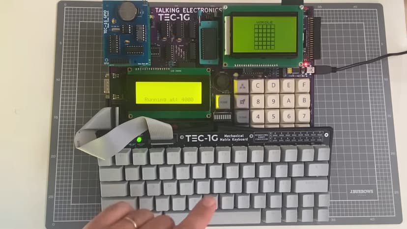 Green double couch with wooden legs