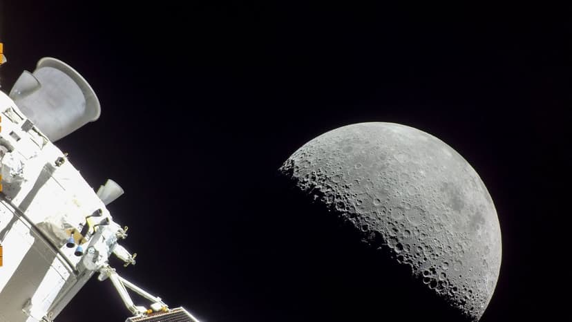 Green double couch with wooden legs